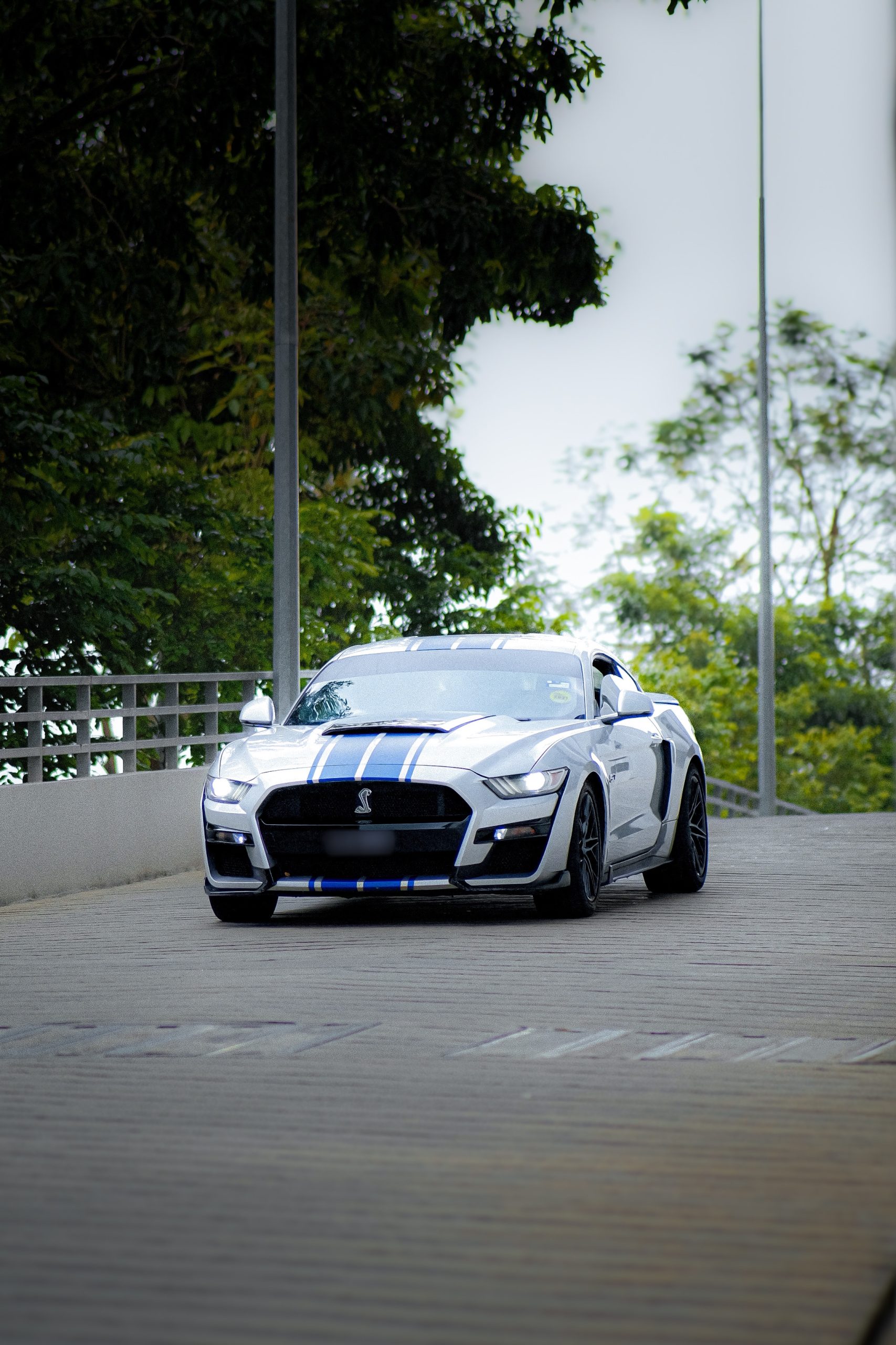 Mustang 5.0 GT white rental Klang Valley